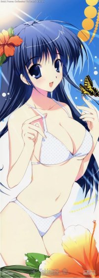 BUY NEW to heart - 118293 Premium Anime Print Poster